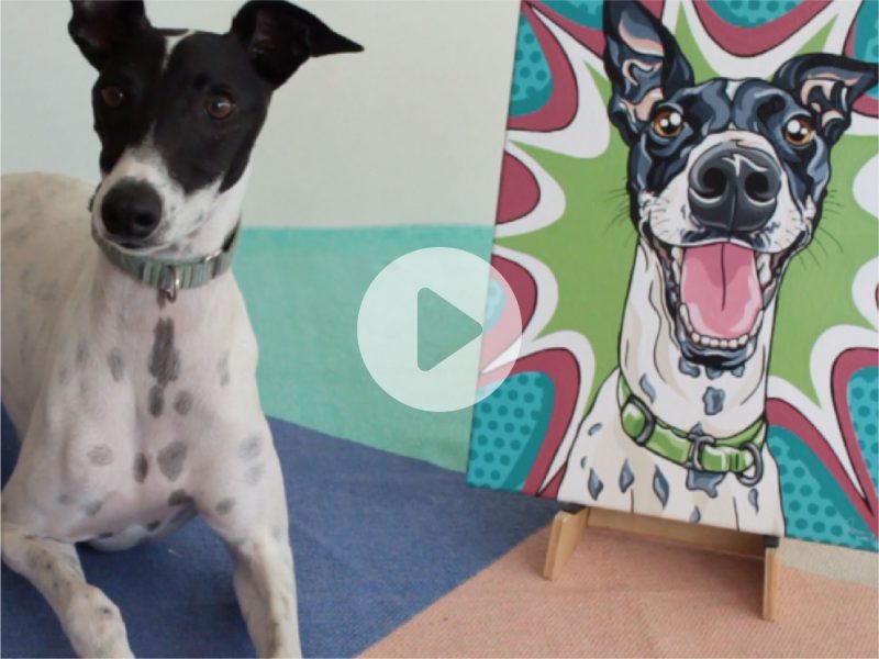 Timelapse video of Budd the Whippet's Pet Portrait | Pop Art Puppy Dogs