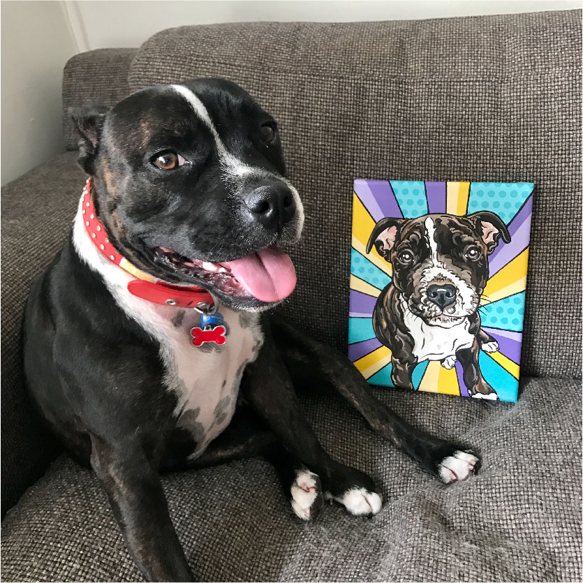 Rogue the Staffy and her Pet Portrait Review | Pop Art Puppy Dogs