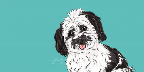 Oreo the Maltese Shihtzu x Silky Terrier's Digital Illustration Pet Portrait | Pop Art Puppy Dogs