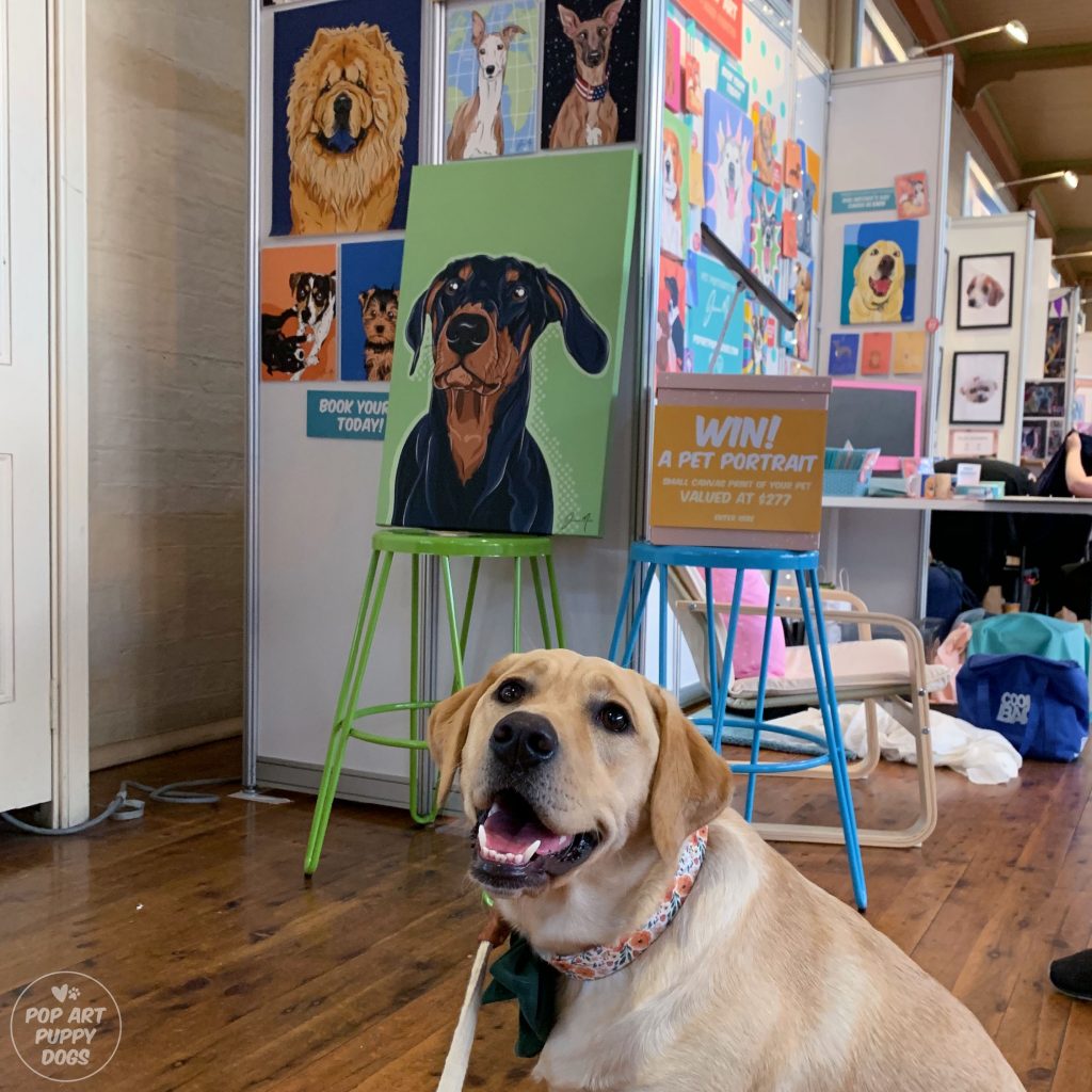 Dog lovers show melbourne 2019 Day 1 | Pop Art Puppy Dogs