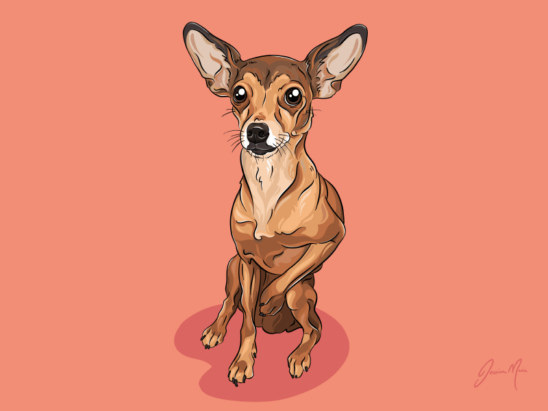 Lola the Chihuahua Canvas Print Pet Portrait | Pop Art Puppy Dogs