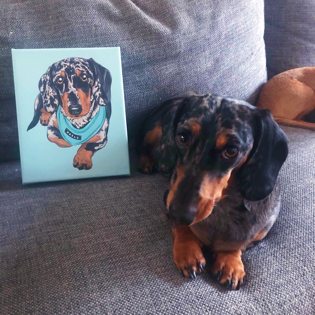 Pablo the Dachshund and her pop art portrait | Pop Art Puppy Dogs