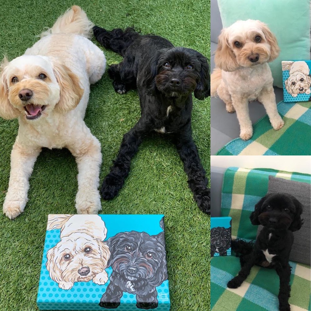 Frankie & Tully the Cavoodles and their pop art portrait | Pop Art Puppy Dogs