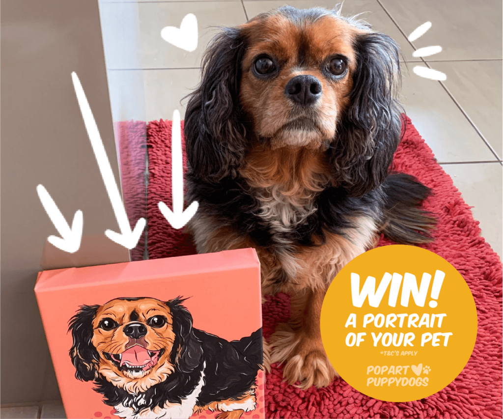 Win a pop art pet portrait at the Dog Lovers Show Melbourne 2022 | Pop Art Puppy Dogs 