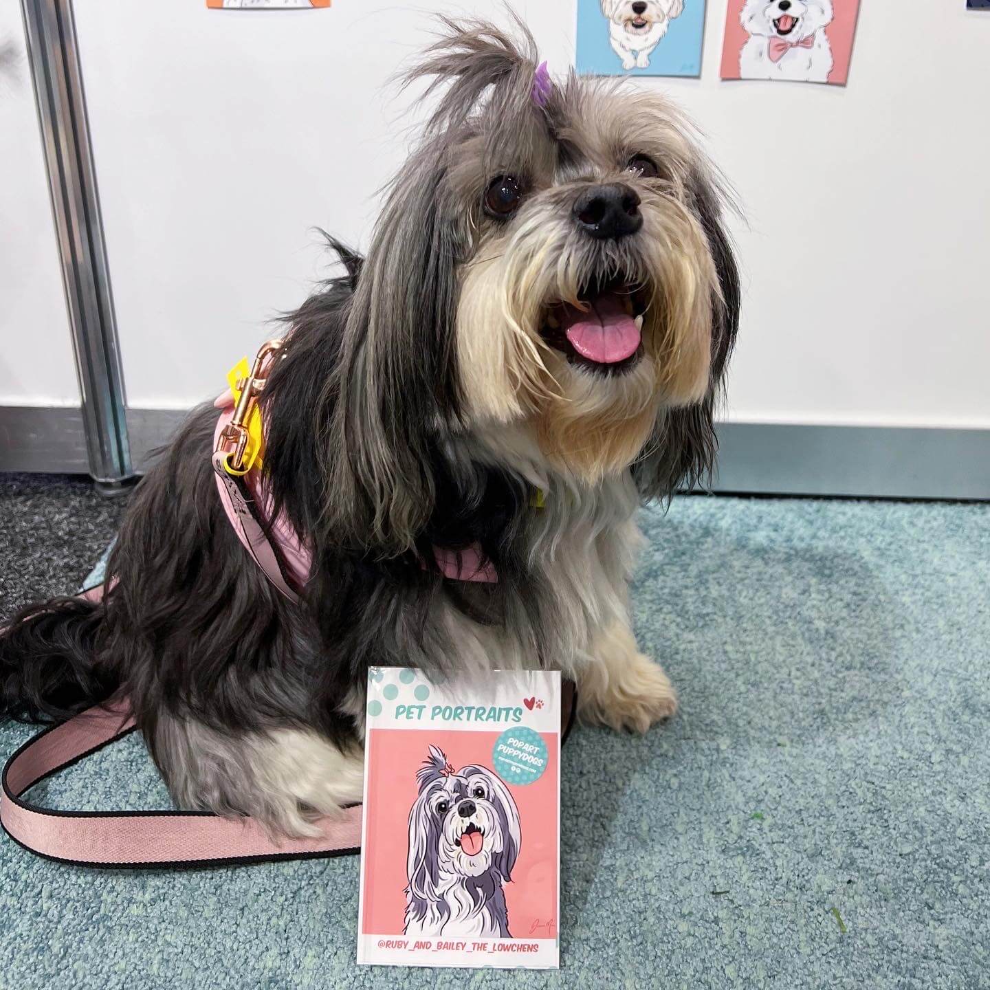 Ruby & Bailey @ruby_and_bailey_the_lowchens Dog Lovers Show Melbourne 2022 | Pop Art Puppy Dogs