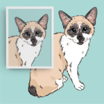 Pet Portrait Pack — Rocket the Cat | Pop Art Puppy Dogs