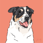 Pet Portrait Pack — Patch | Pop Art Puppy Dogs