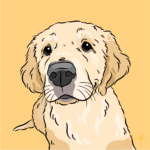 Pet Portrait Pack — Reggie the Golden Retriever | Pop Art Puppy Dogs