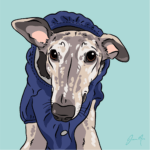 Pet Portrait Pack — Oliver the Whippet | Pop Art Puppy Dogs