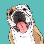 Pet Portrait Pack — Jhin the Bulldog | Pop Art Puppy Dogs
