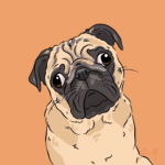 Pet Portrait Pack — Taco the Pug | Pop Art Puppy Dogs