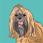 Pet Portrait Pack — Presley the Shihtzu | Pop Art Puppy Dogs