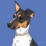 Pet Portrait Pack — Mocha the Jack Russel | Pop Art Puppy Dogs