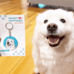 Cooper Custom Pet Portrait Keychain | Pop Art Puppy Dogs