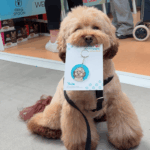 Yoda the Oodle Custom Pet Portrait Keychain | Pop Art Puppy Dogs