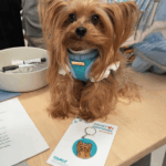 George the Yorkie Custom Pet Portrait Keychain | Pop Art Puppy Dogs